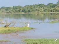 20181231_082958