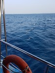 20190101_074356