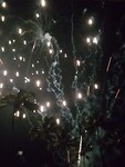 20190101_000118
