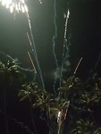 20190101_000114