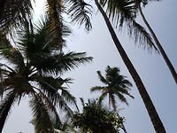 20190102_132746