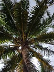 20190102_132735