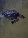 20190103_100400