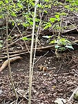 IMG-20260812-WA0002