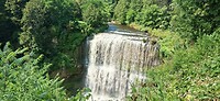 Webster Falls 1