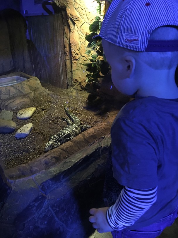 Aquarium