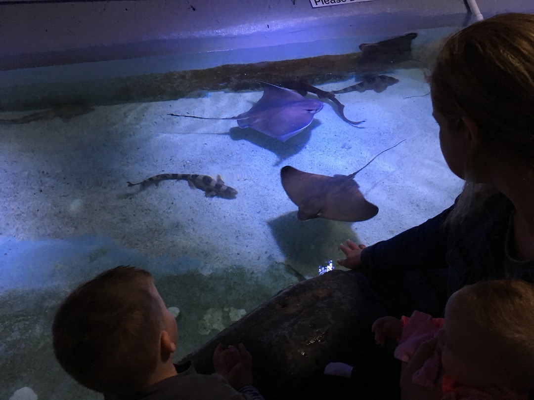 Aquarium