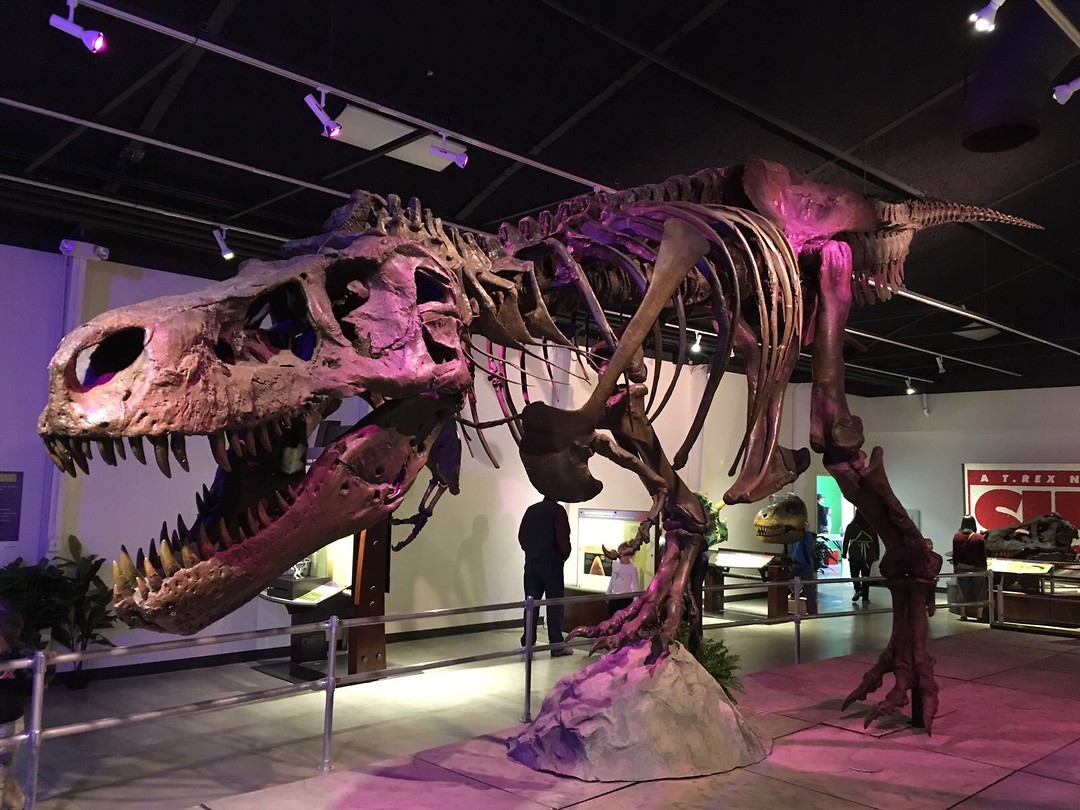 Discovery Center