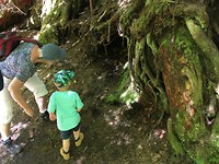 Silver Falls