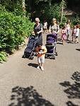 Zoo