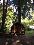 Cabin Redwoods