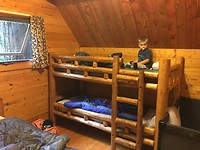 Cabin Redwoods
