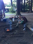 Cabin Redwoods