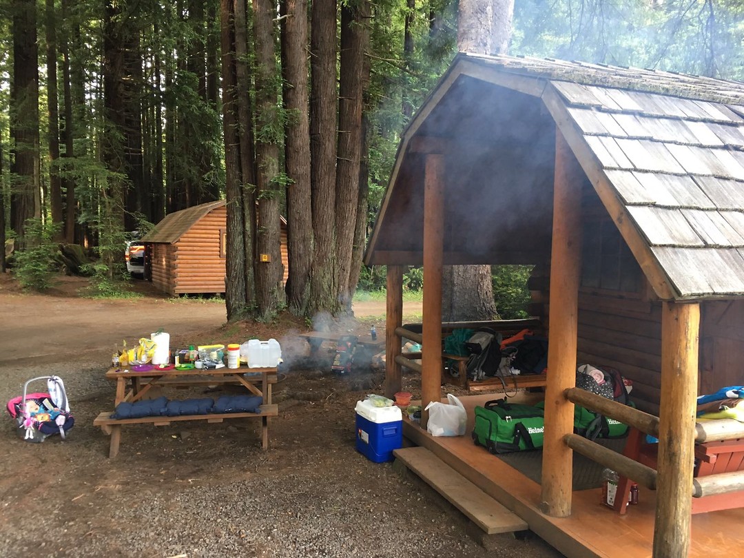 Cabin Redwoods