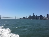 SF