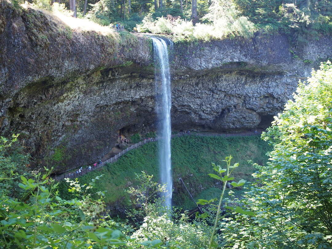 Silverfalls