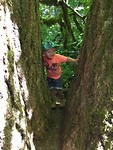Hiking Silver Falls