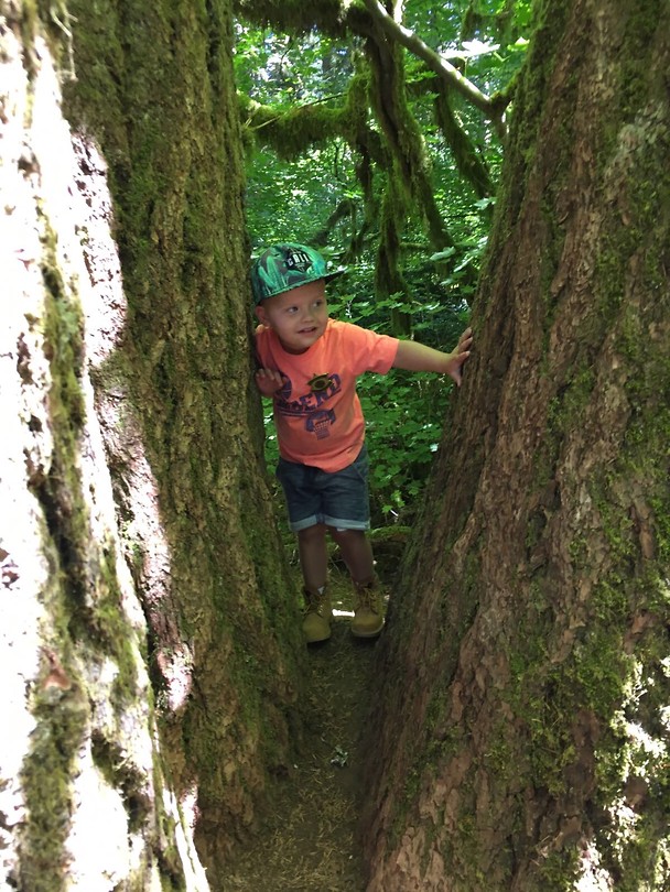 Hiking Silver Falls