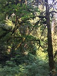 Latourel Falls