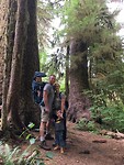 Quinault rainforest