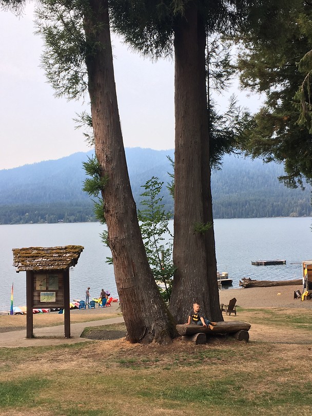 Quinault