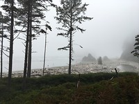 Ruby beach