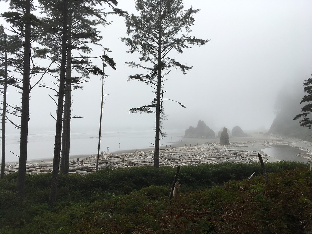 Ruby beach