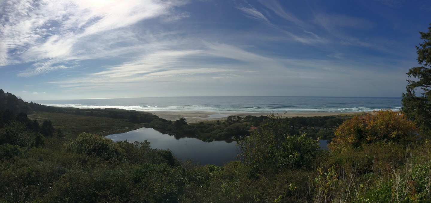 Lincoln City