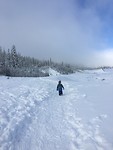 Mount Hood
