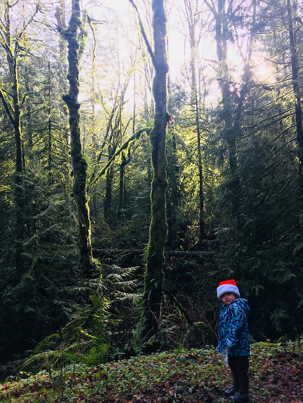 Forest Park