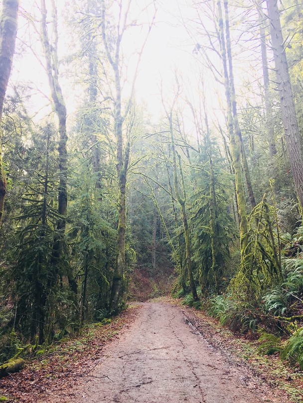 Forest Park