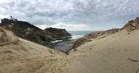 Pacific City