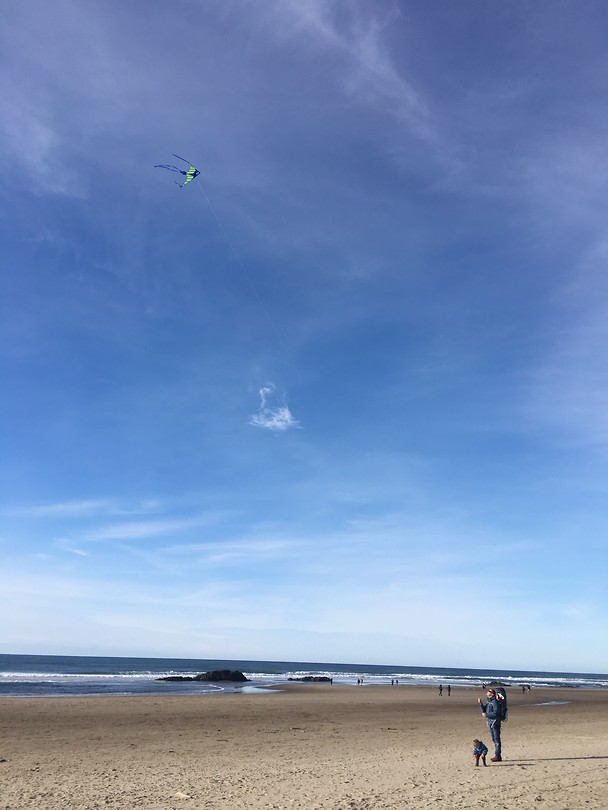 Lincoln City