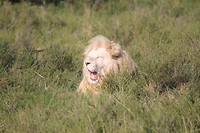 IMG_3180