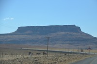 DSC_0525