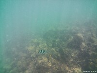 IMG230823-112147-000043F