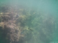 IMG230823-112305-000045F