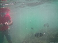 IMG230823-112312-000046F