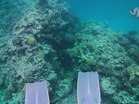 IMG230825-112326-000065F