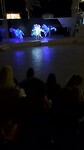 Dansshow