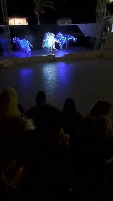 Dansshow