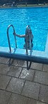 IMG-20250724-WA0039