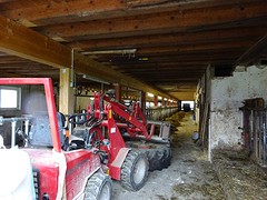 Shovel in de stal