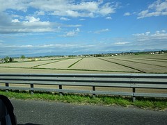 Veel landbouwgrond