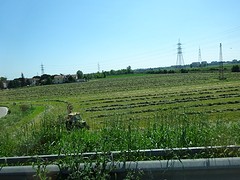 Hooi op het land!