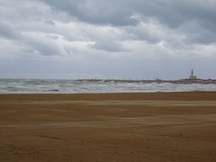 Hoge golven aan het strand