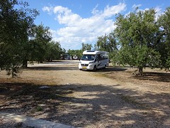 De plek in Beceglie, tussen de olijfbomen