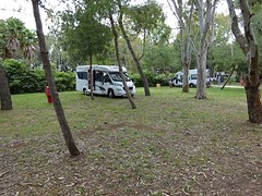 Op de camping tussen de bomen