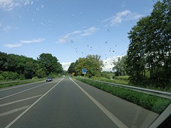 Weer in Nederland