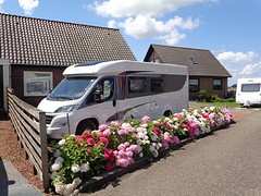 Weer thuis! En wat staan onze hortensia's er mooi bij!